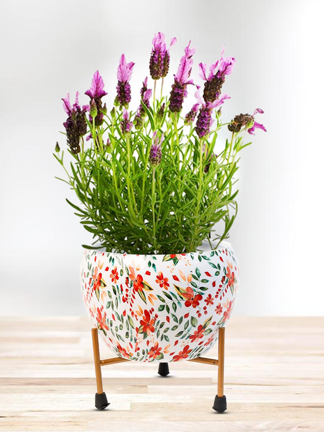Nymph Reva Home White & Green 2 Pieces Printed Indoor Flower Pot With Stand