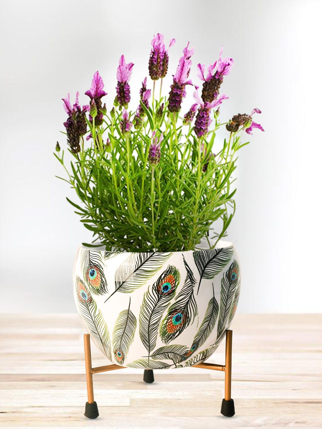 Nymph Reva Home White & Green 2 Pieces Printed Planters With Stand