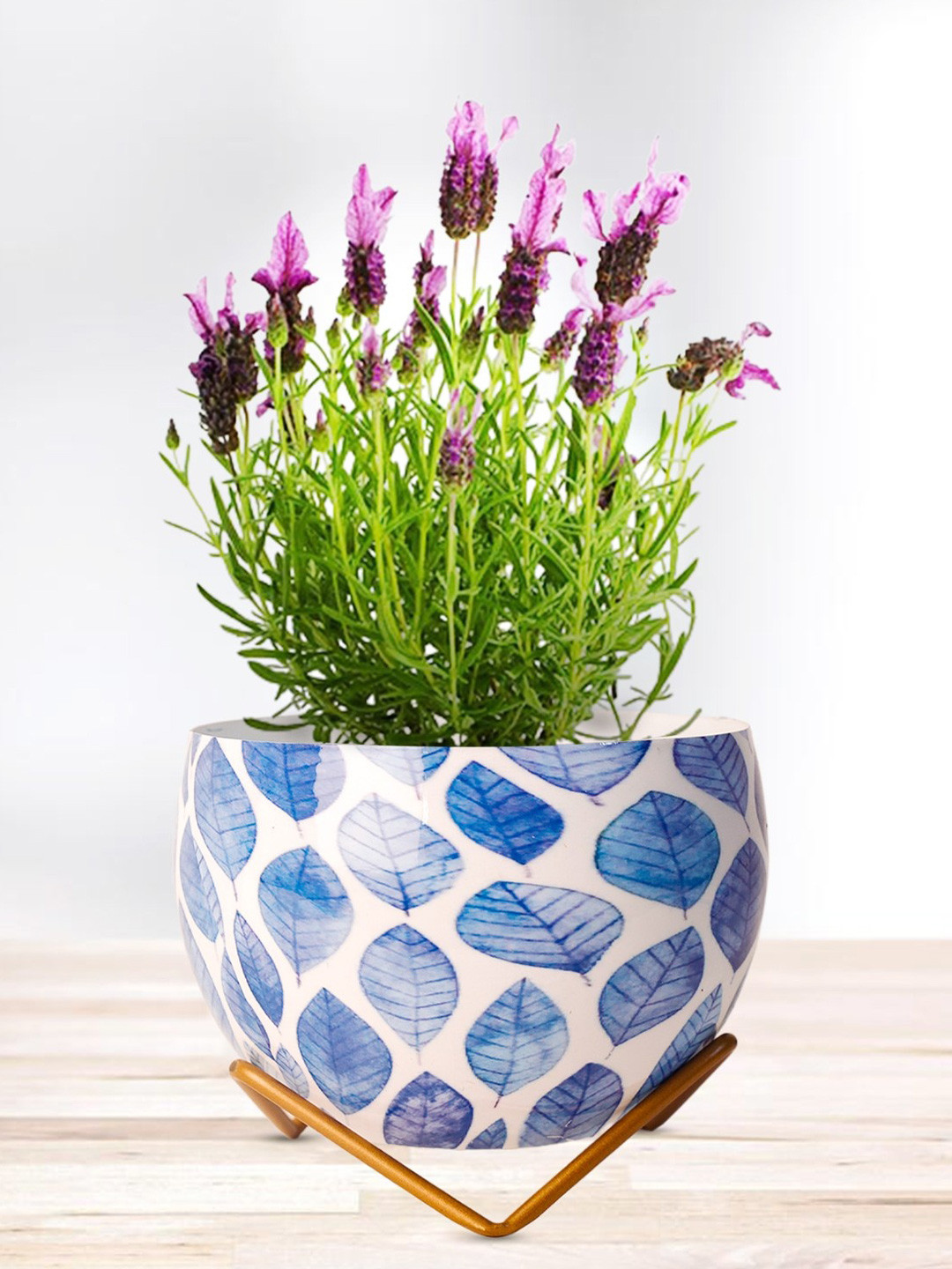 Nymph Blue & White Printed Flower Planters With Stand
