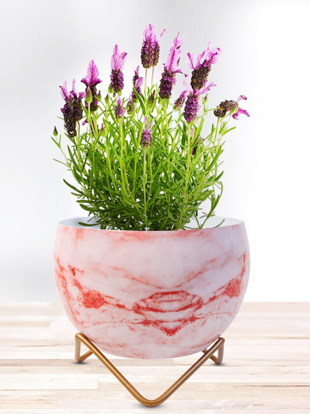 Nymph Reva Home Pink & Red 2 Pieces Printed Indoor Flower Pot With Stand