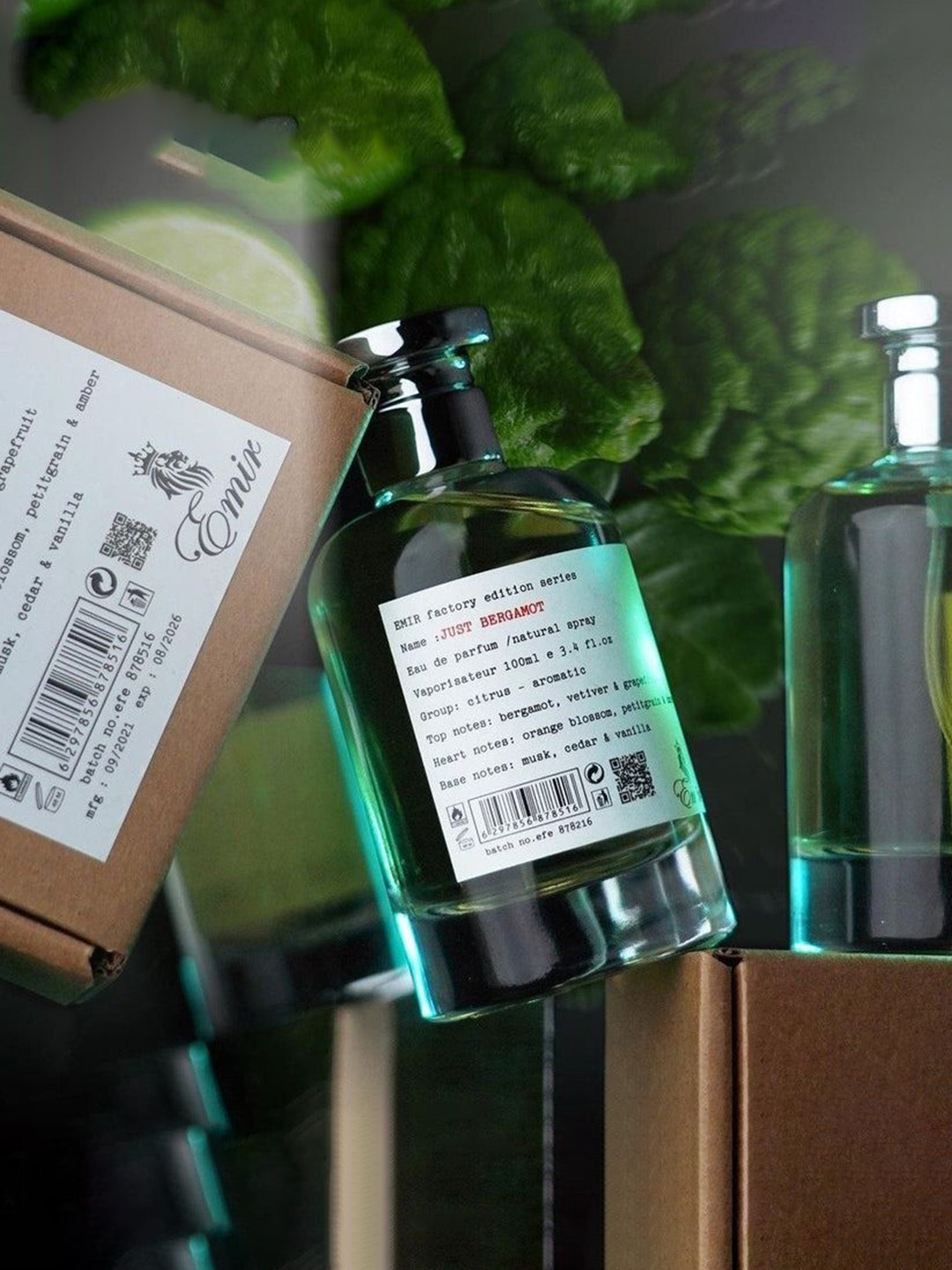 Paris Corner Perfumes Just Bergamot Long Lasting Eau De Parfume - 100 ml