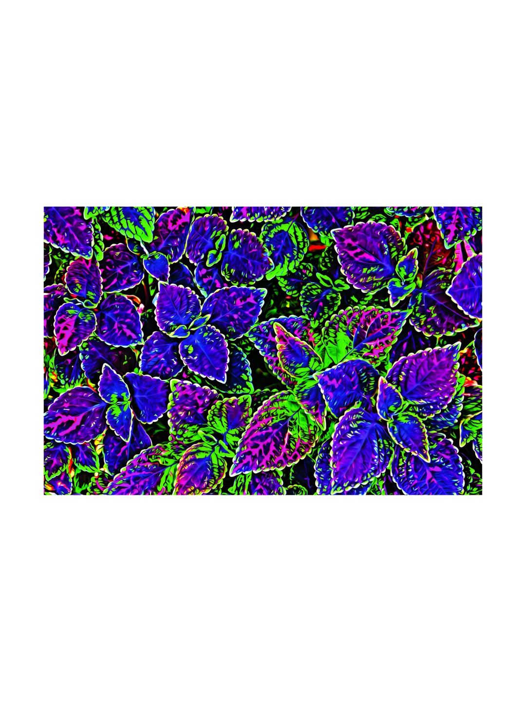 Inephos Beautiful Leaves Illustration Art Canvas Rectangle Paintings Wall Art 36 x 24In