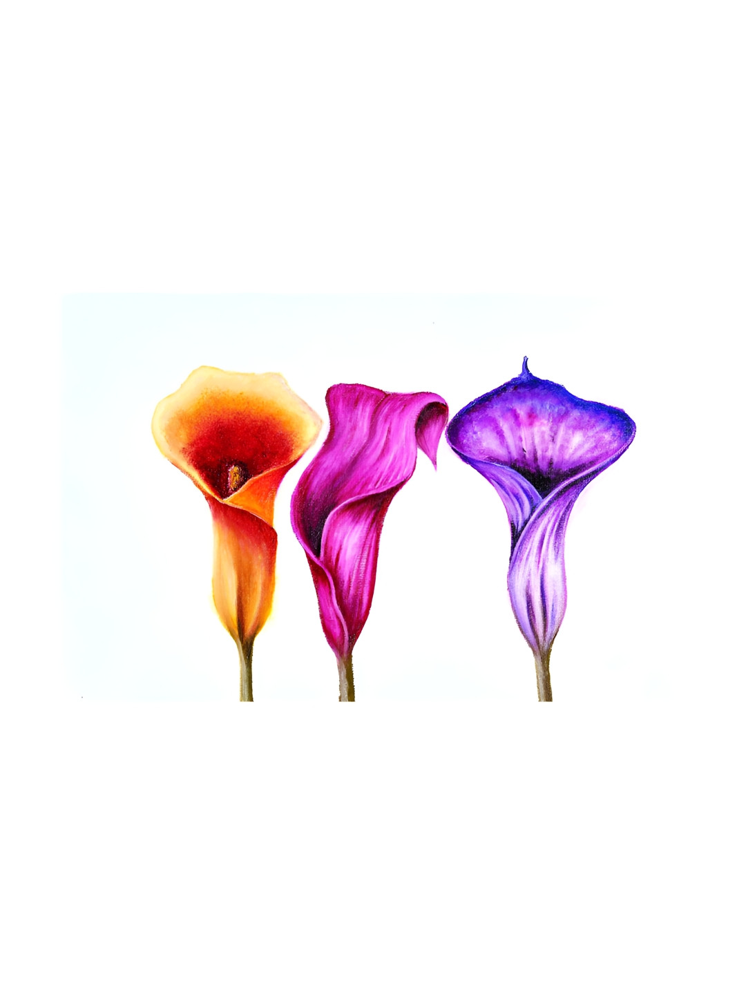 Inephos Orange Colured & Purple Canvas Floral Unframed Wall Paintings