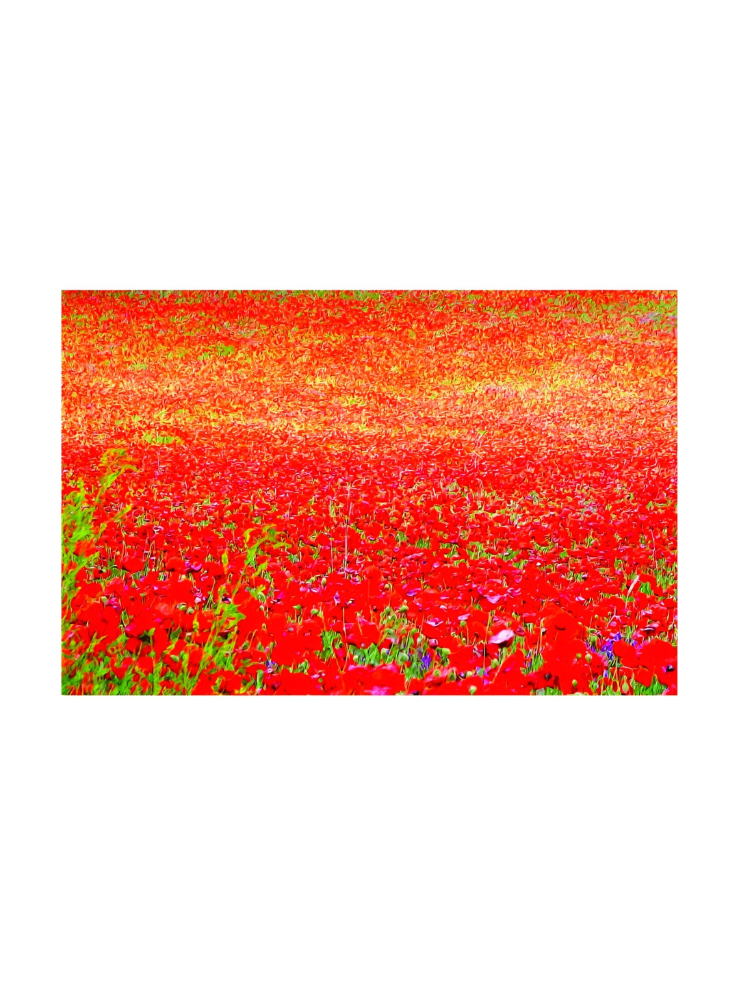 Inephos Red & Orange Canvas Flower Field Painting Unframed Wall Art