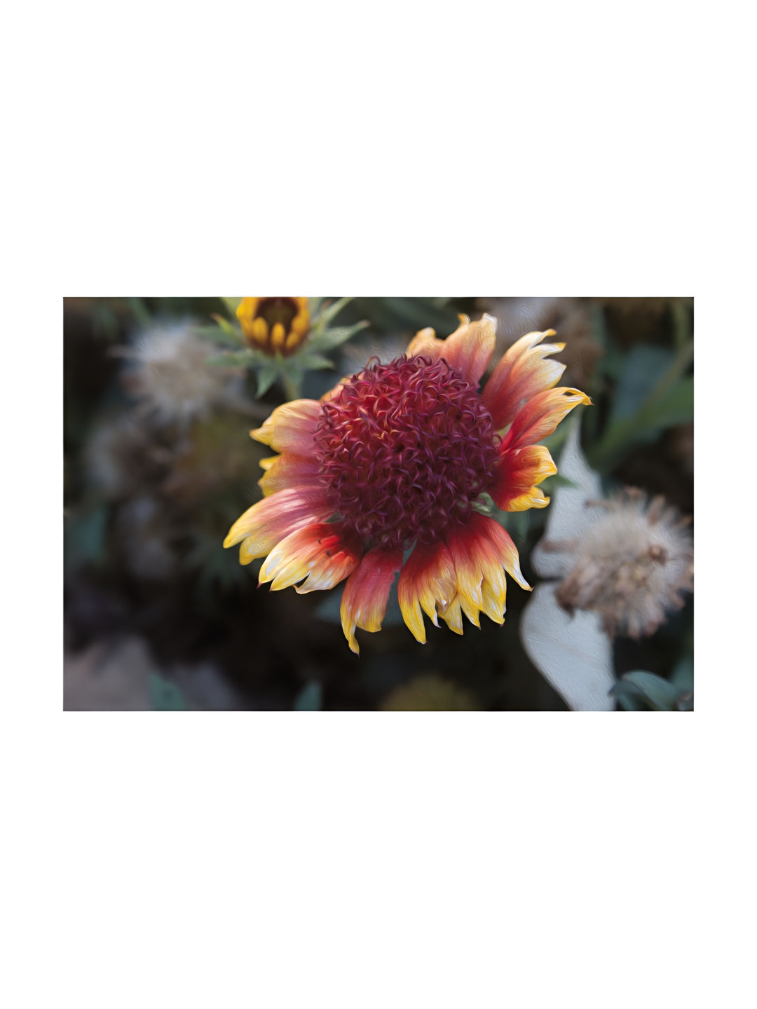 Inephos Red & Yellow Canvas Floral and Botanical Unframed Wall Painting