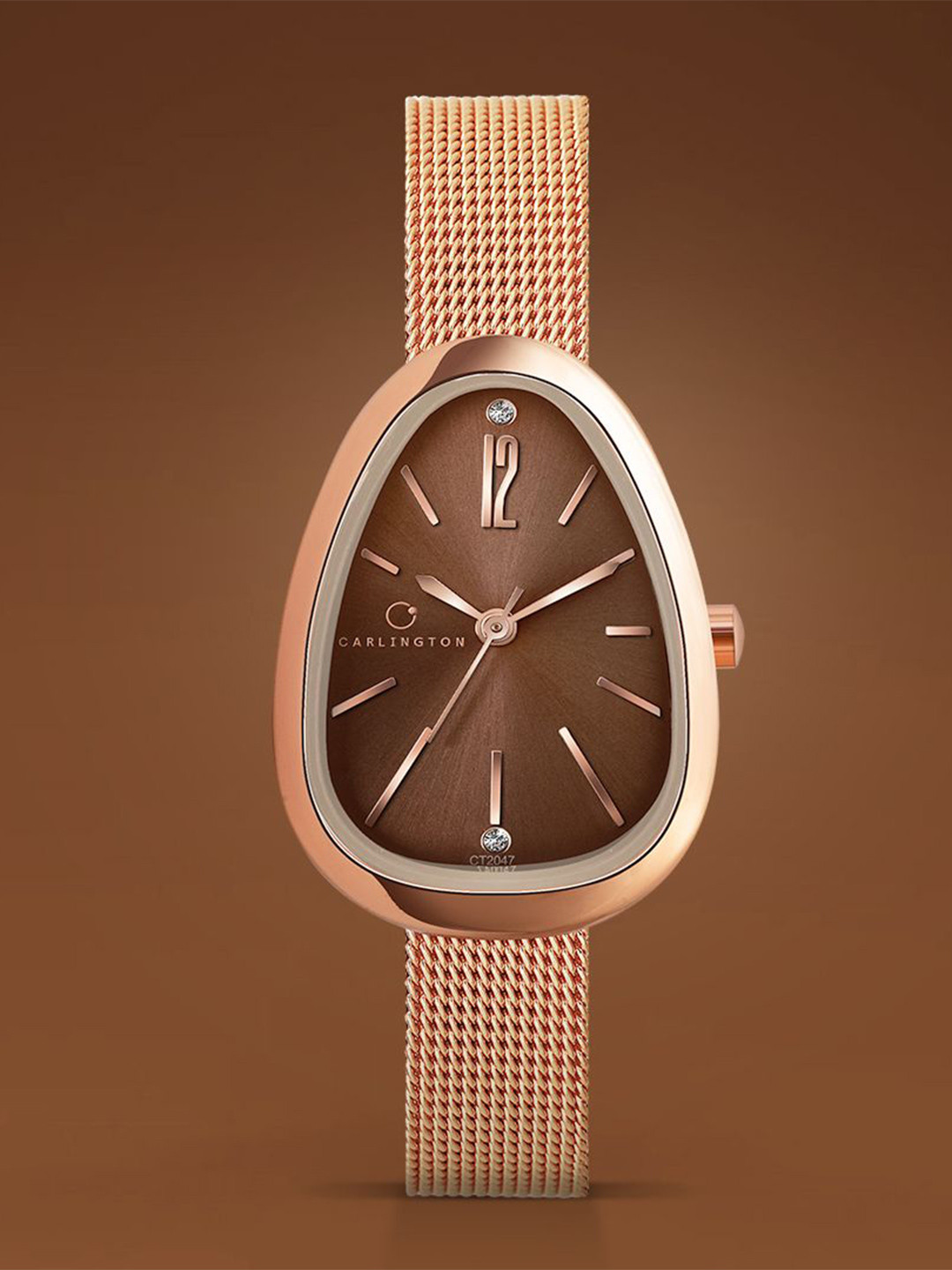 CARLINGTON Women Dial & Stainless Steel Straps Analogue Watch Iconic 2047 Brown