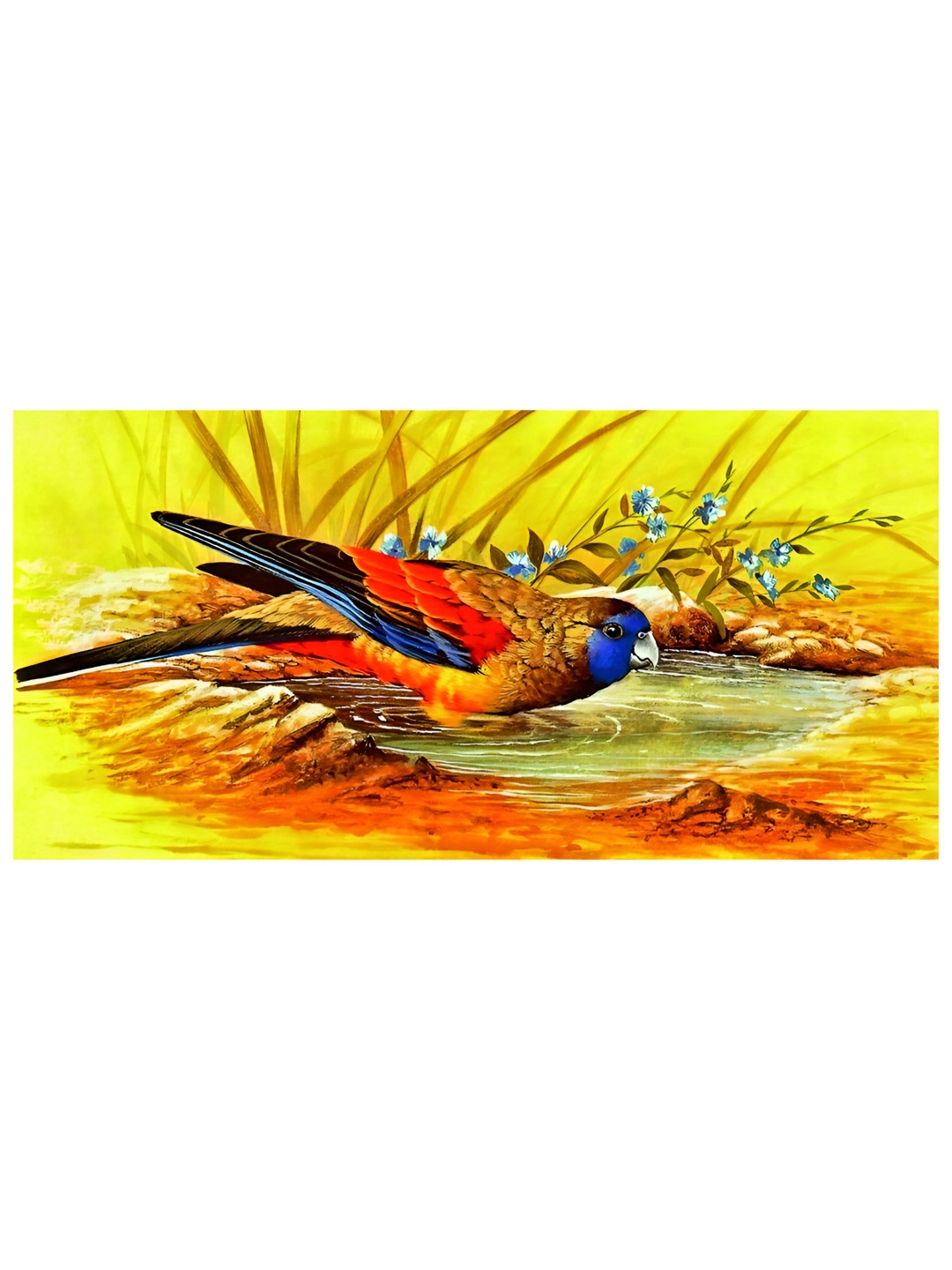 Inephos Multicoloured 4 Piece Vinyl Wall Paintings