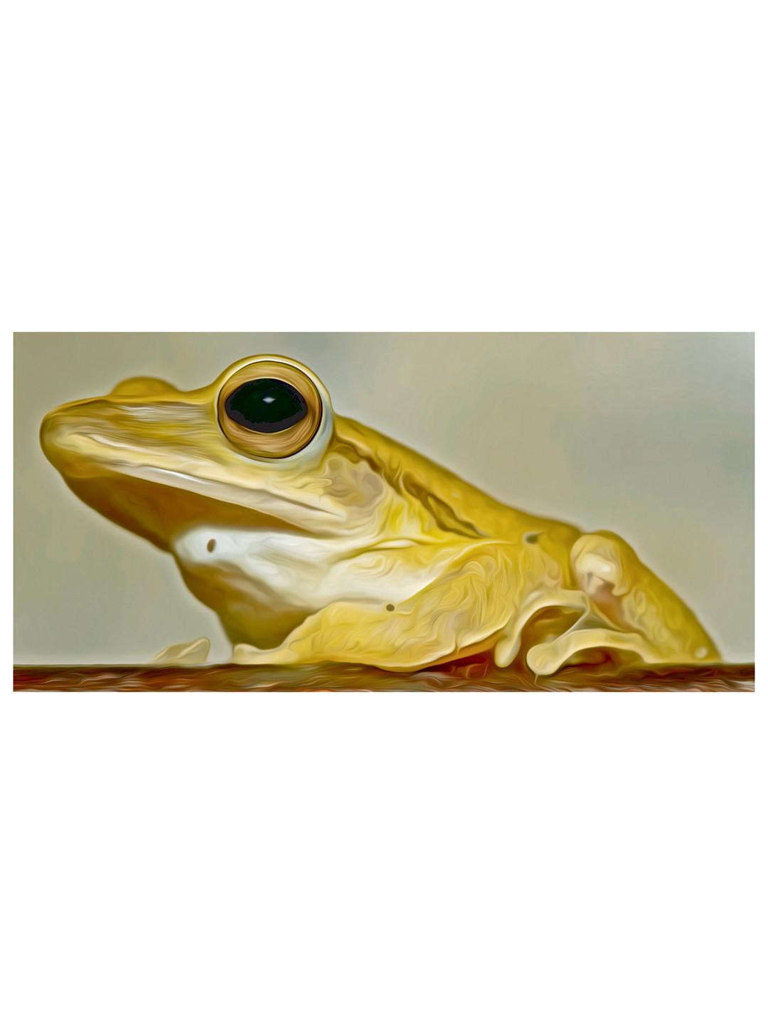 Inephos Frog Canvas Wall Rectangle Paintings Wall Art