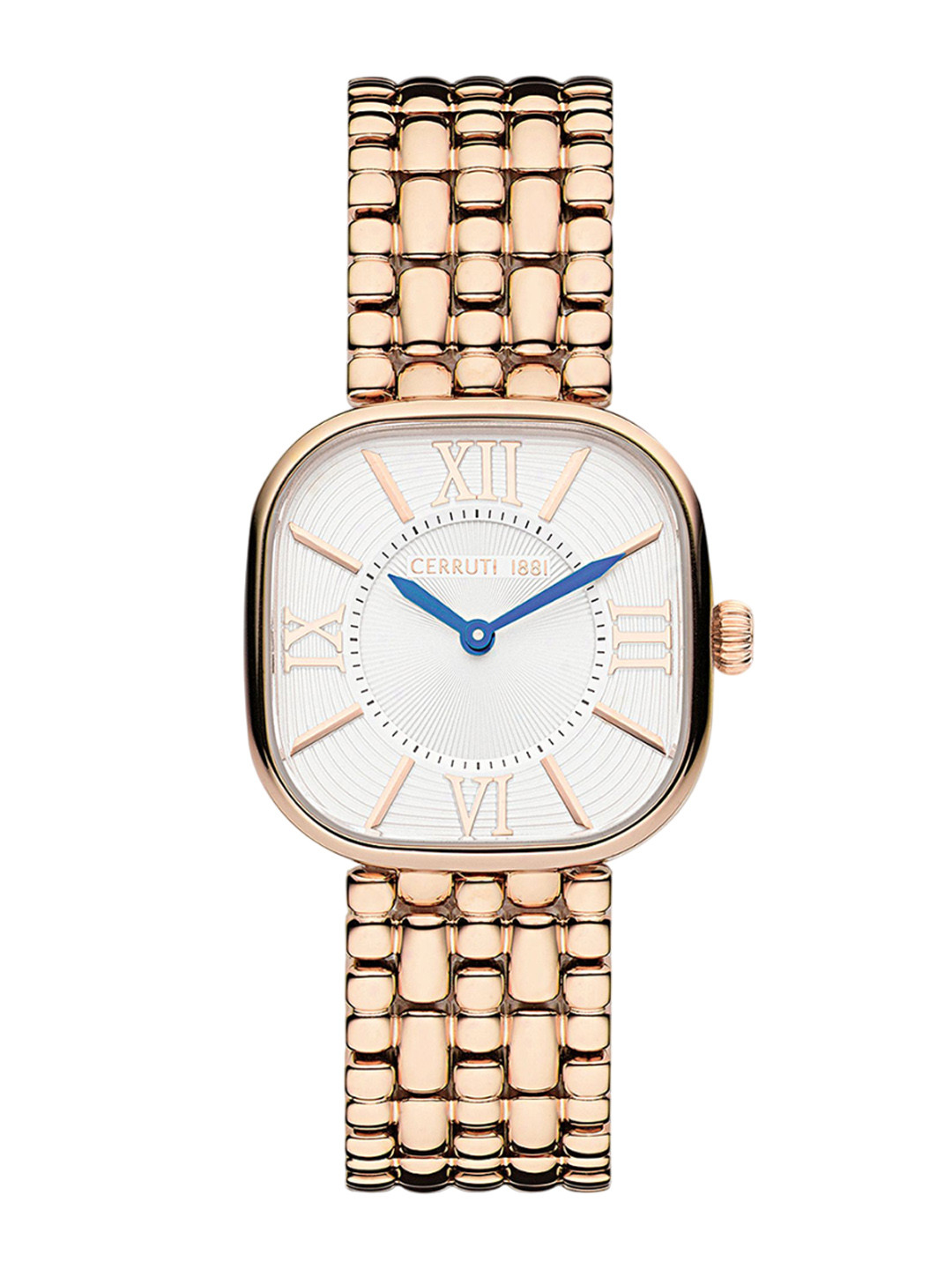 Cerruti 1881 Women Dial & Stainless Steel Straps Watch CECIWLG2225203