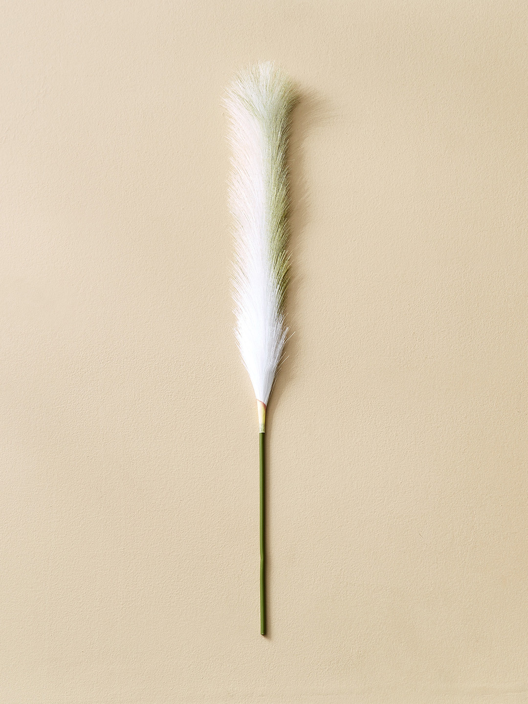 Home Centre Moksha White Artificial Pampa Grass