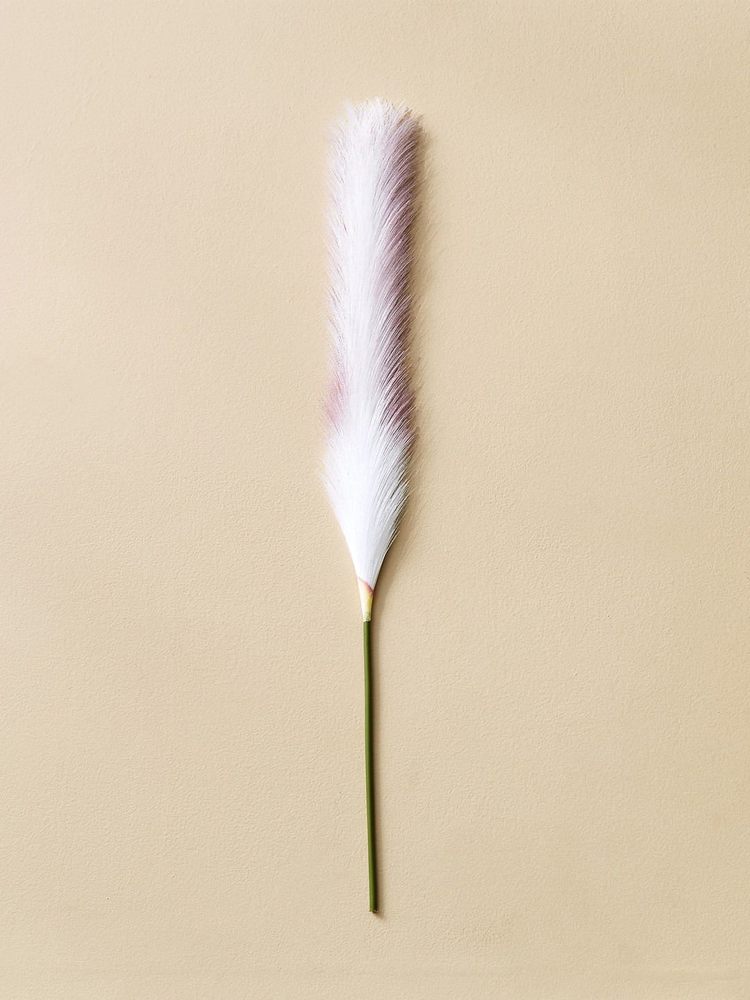 Home Centre Moksha White Artificial Pampa Grass