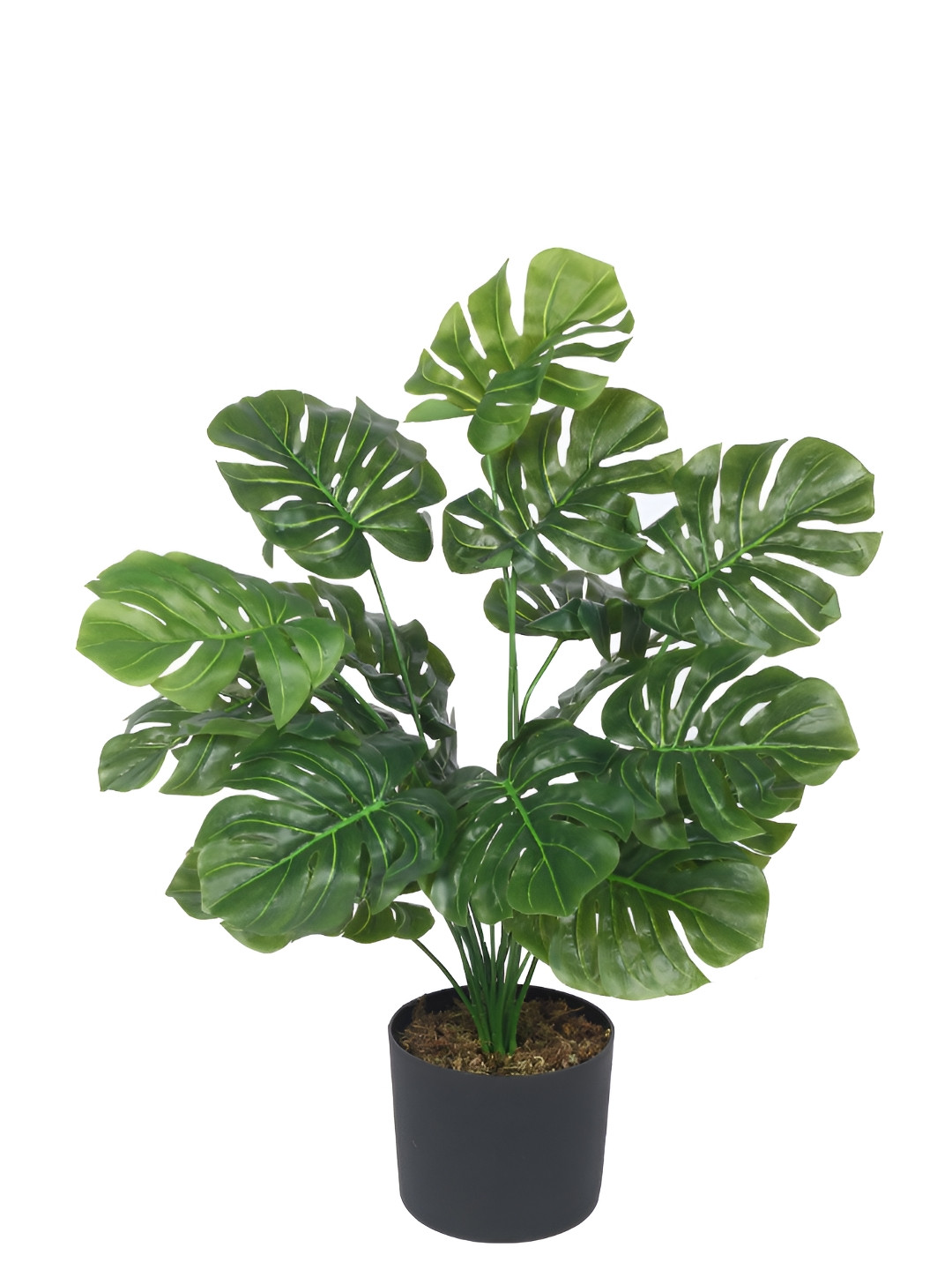 Home Bloom Green & Black Money Artificial Plant With Pot