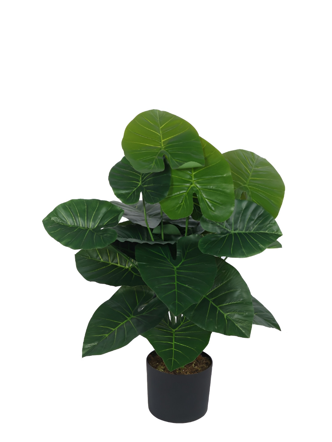 Home Bloom Green & Black Money Artificial Plant With Pot