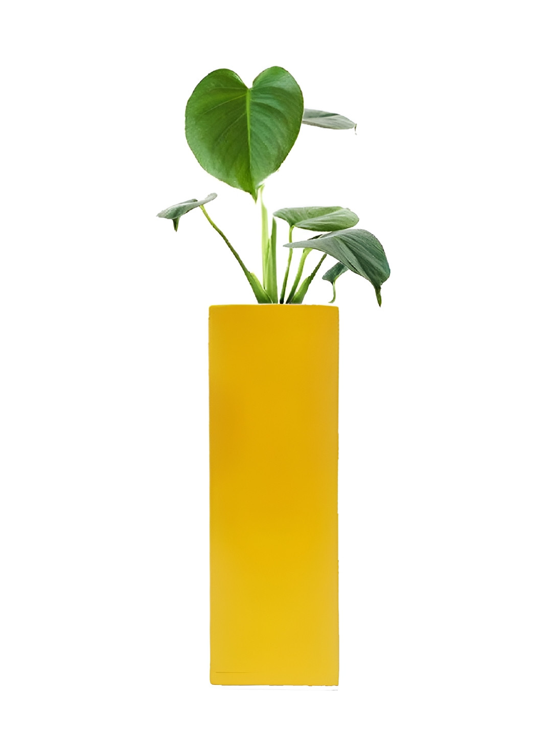 VAH Kya Bat Hai !! Yellow Wooden Magnetic Hydroponic Plant Holder