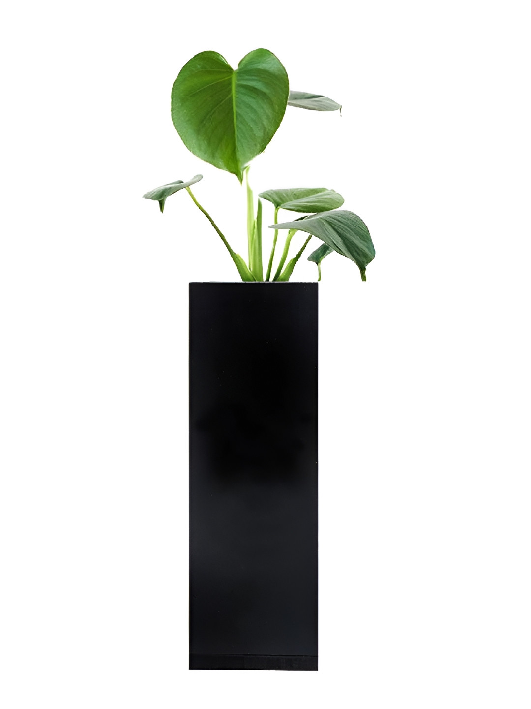 VAH Kya Bat Hai !! Black Wooden Magnetic Hydroponic Planter