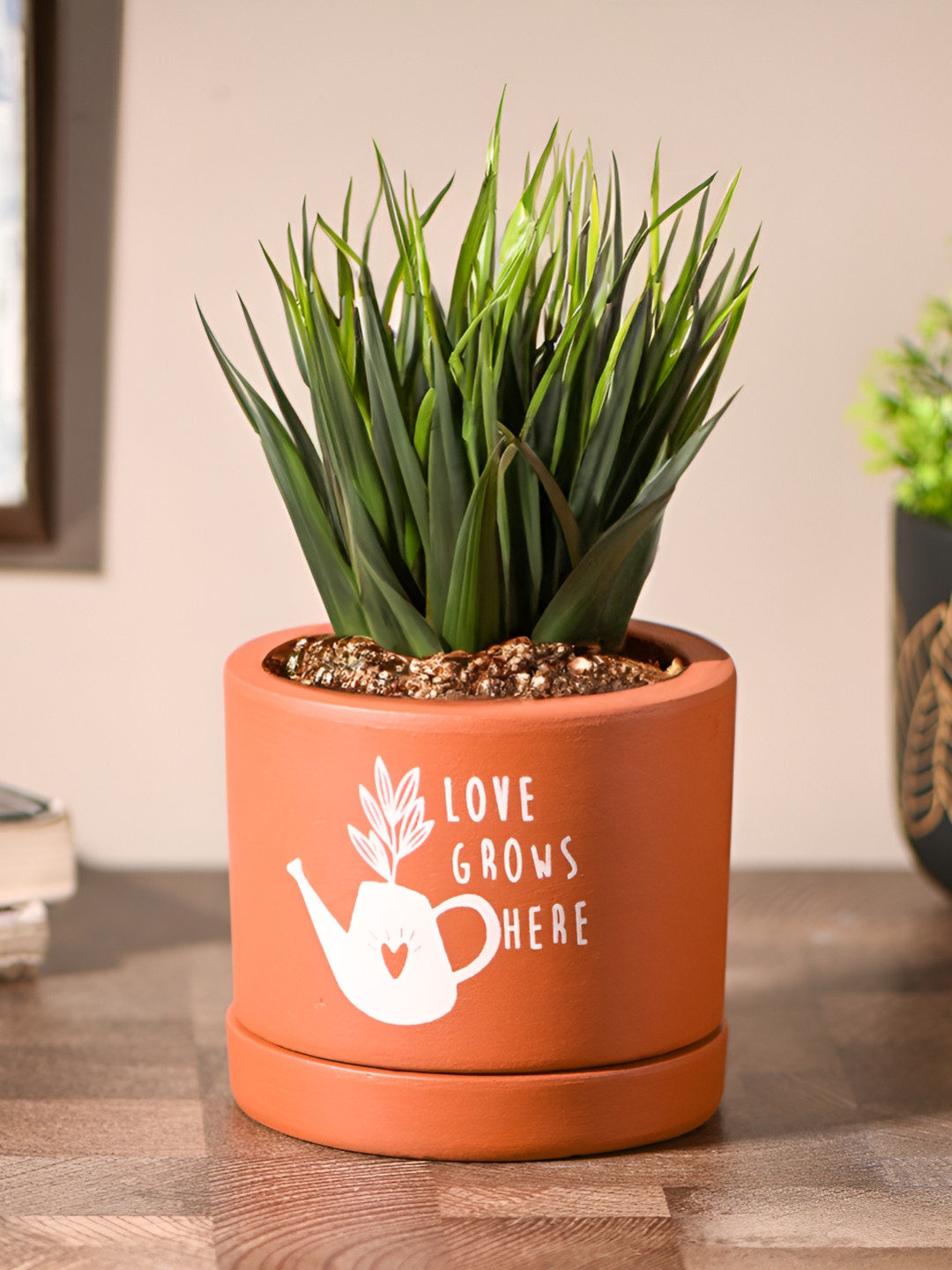 Gathari Brown & White Printed Planter With Tray