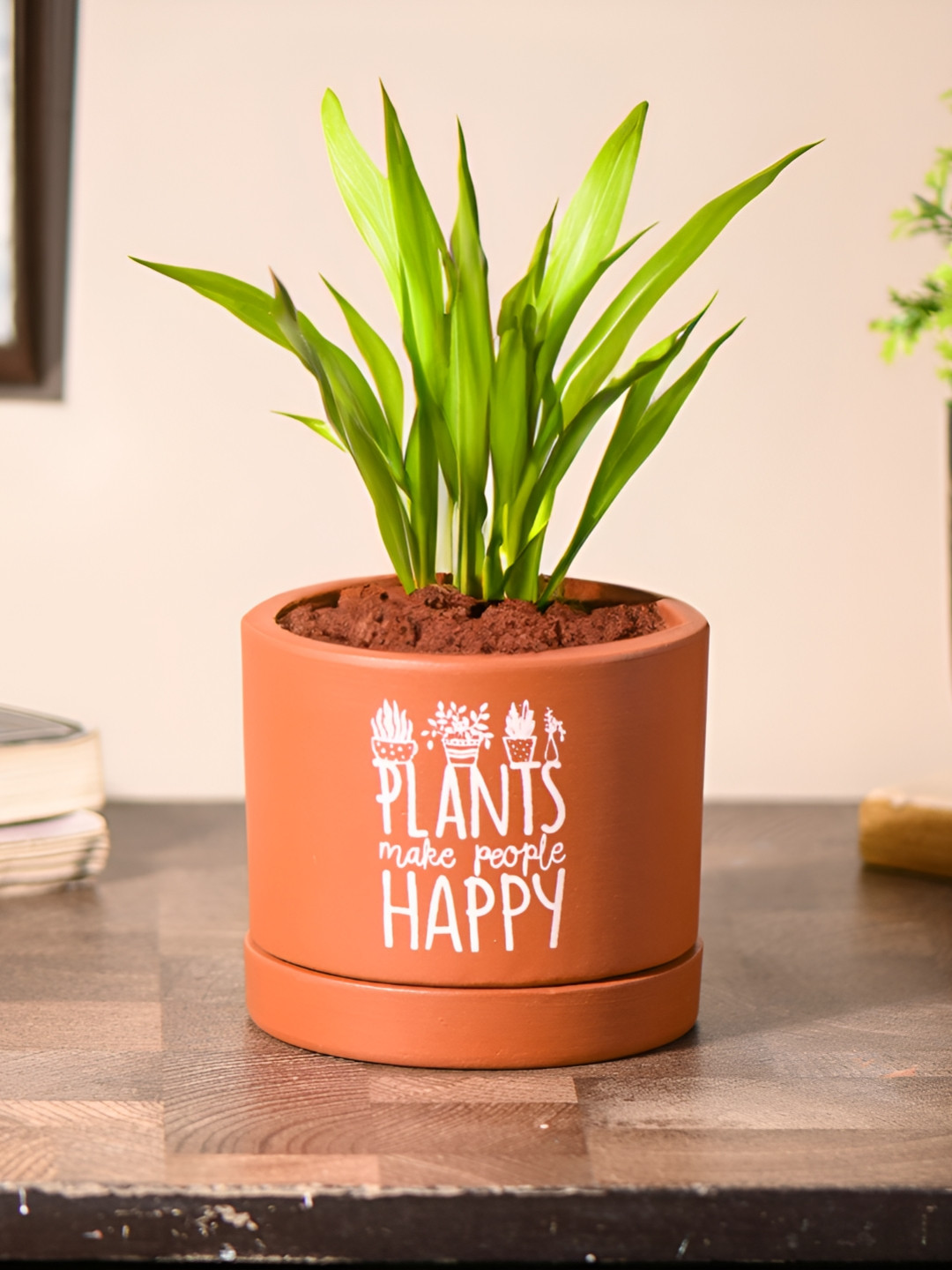 Gathari Brown & White Printed Terracotta Table Planter With Tray