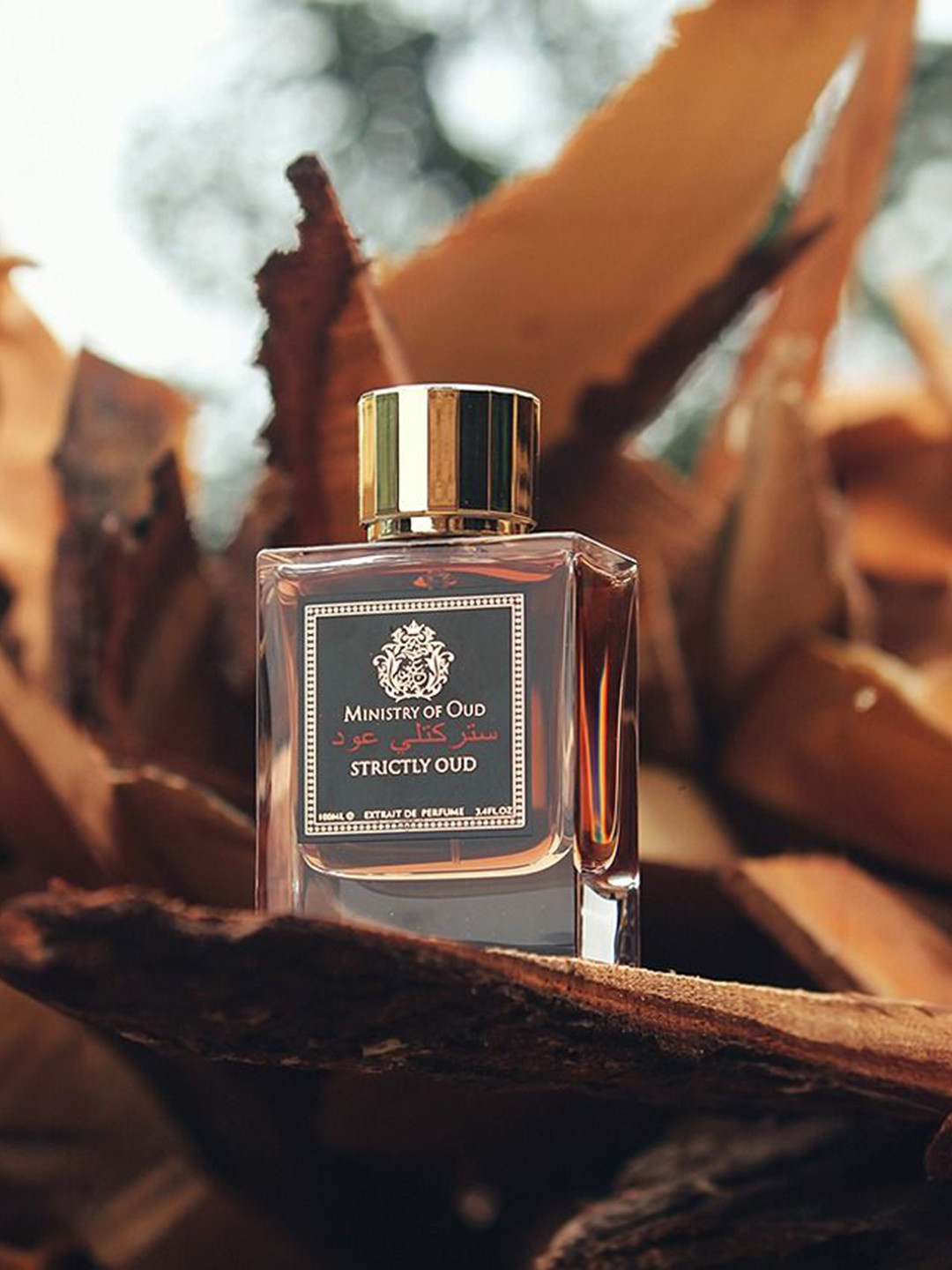 Paris Corner Perfumes Amber Oud Long Lasting Eau De Parfum- 100 ml