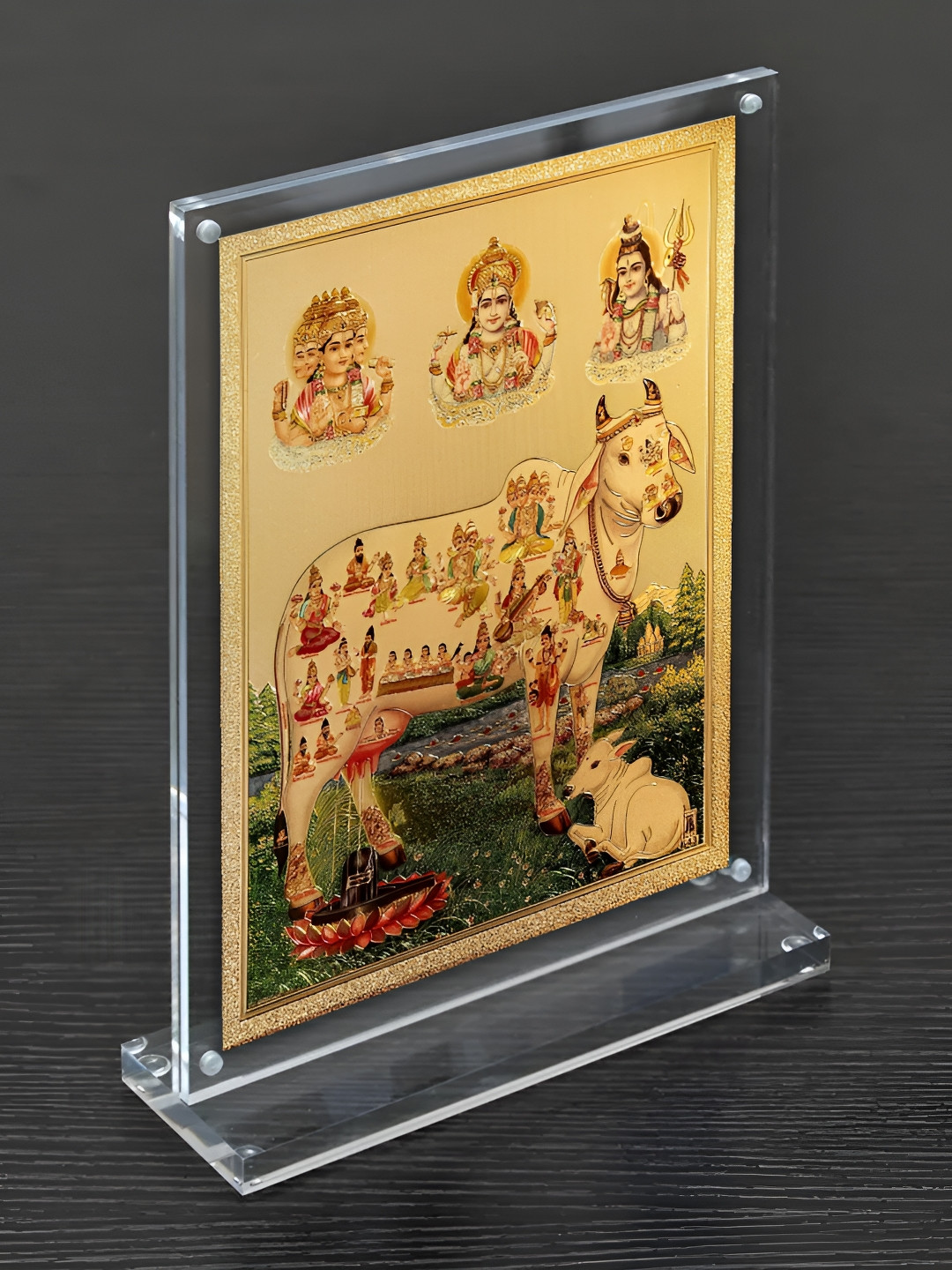 Hawai Gold-Toned & Red Acrylic Table Photo Frame