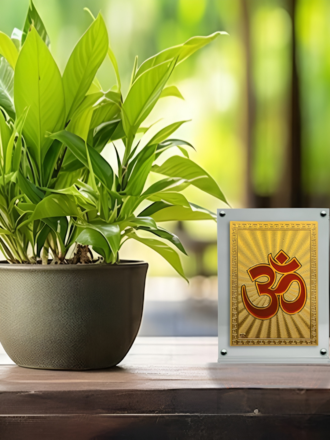 Hawai Gold Toned & White Acrylic Om Photo Frames