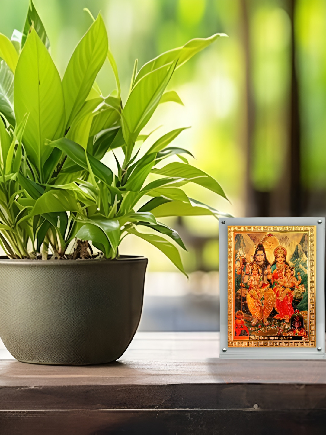 Hawai Gold-Toned and Red Shiv Parivar Acrylic Wall Photo Frame