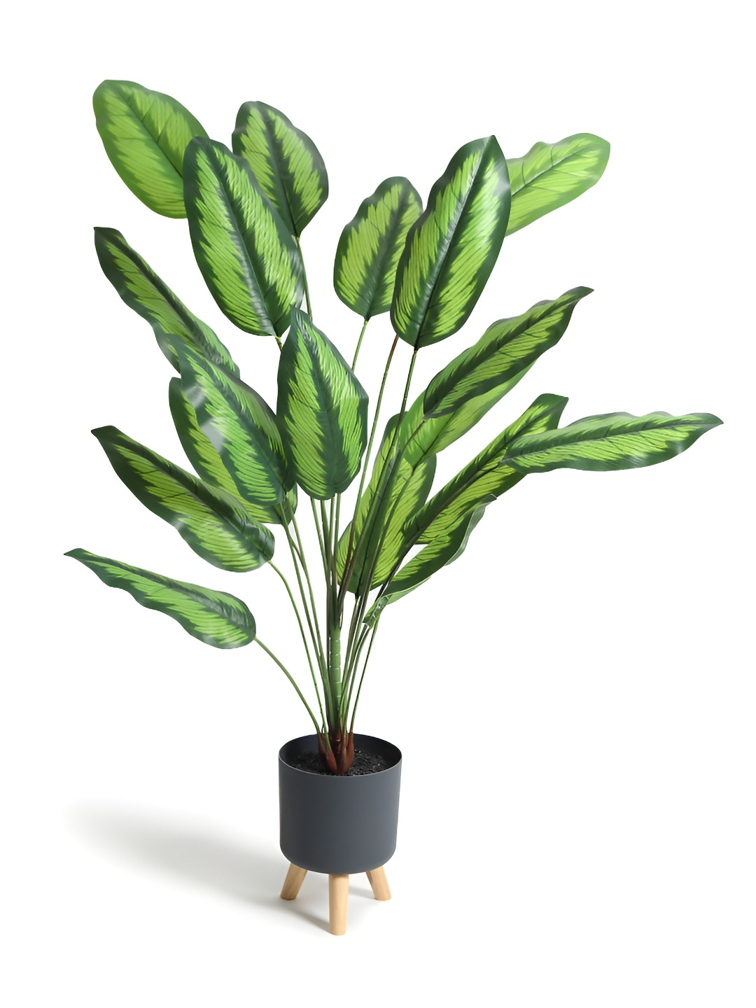 HABERE INDIA Green & Black Calathea Artificial Plant With Pot