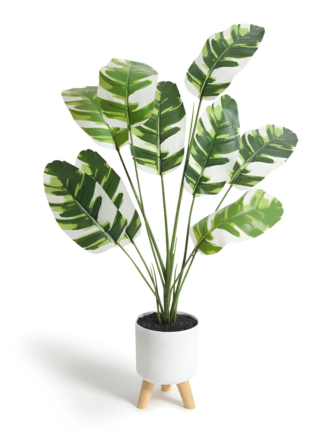 HABERE INDIA Green & White Calathea Artificial Plant With Pot