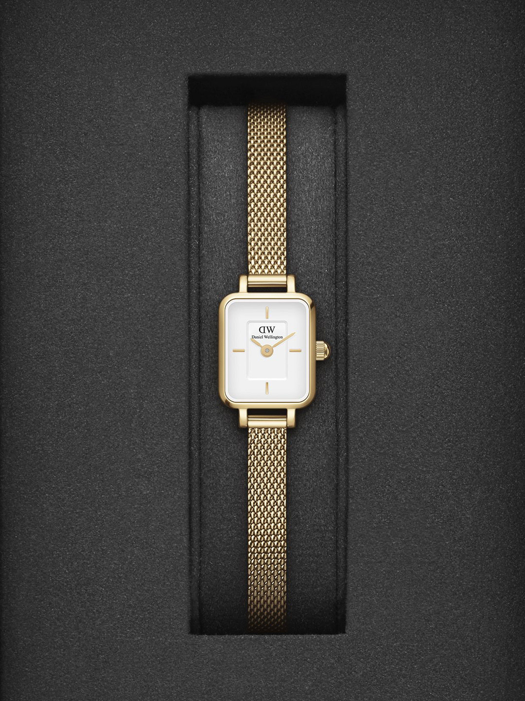 Daniel Wellington Women Dial & Stainless Steel Straps Analogue Multi Function Watch DW00100725K