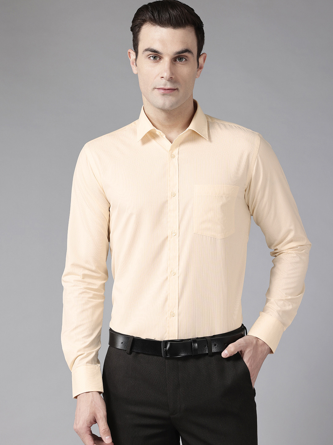 Park Avenue Slim Fit Micro Checks Formal Shirt