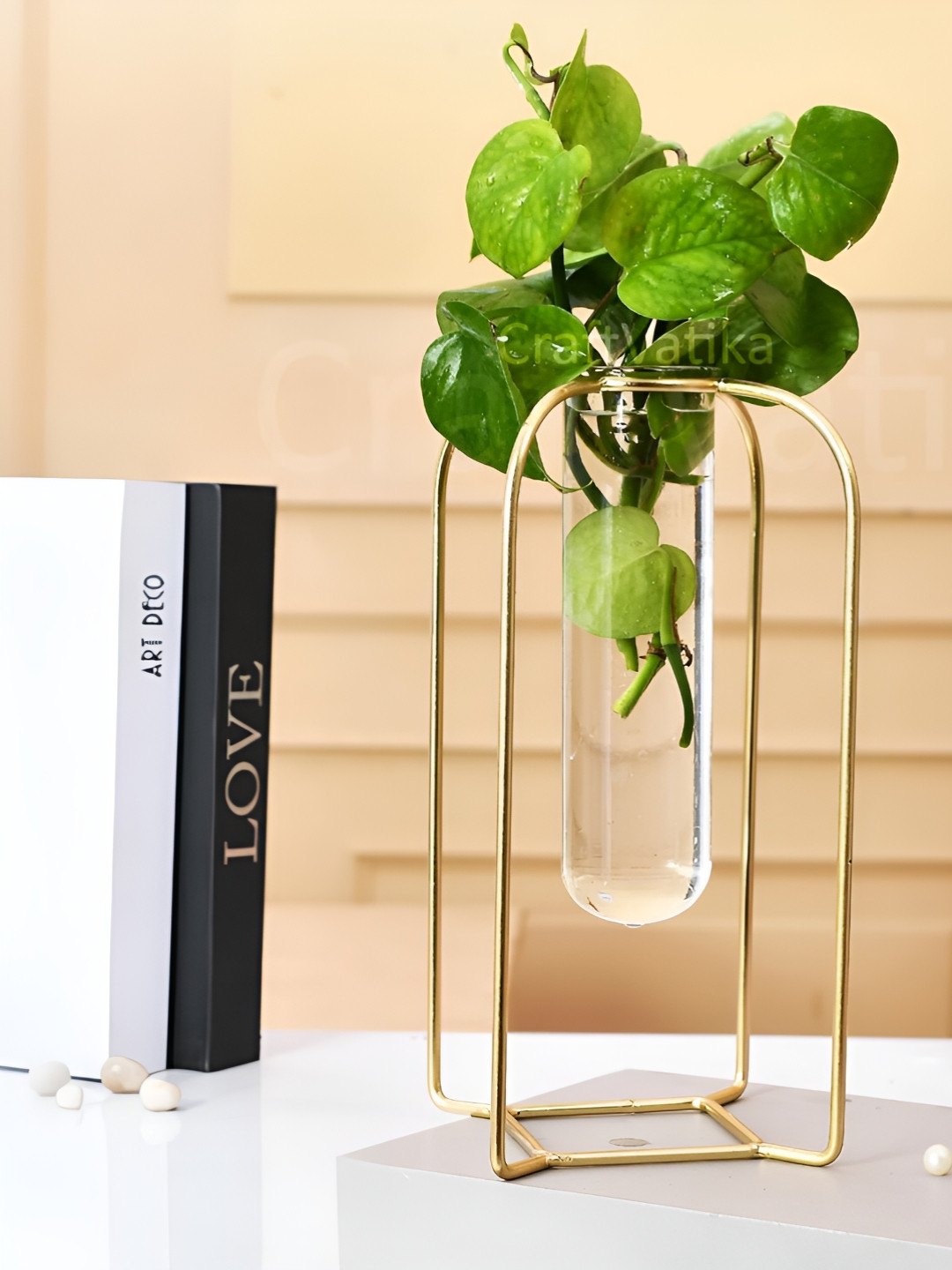 CraftVatika Gold-Toned Propagation Station Glass Test Tube Flower Vase With Frame