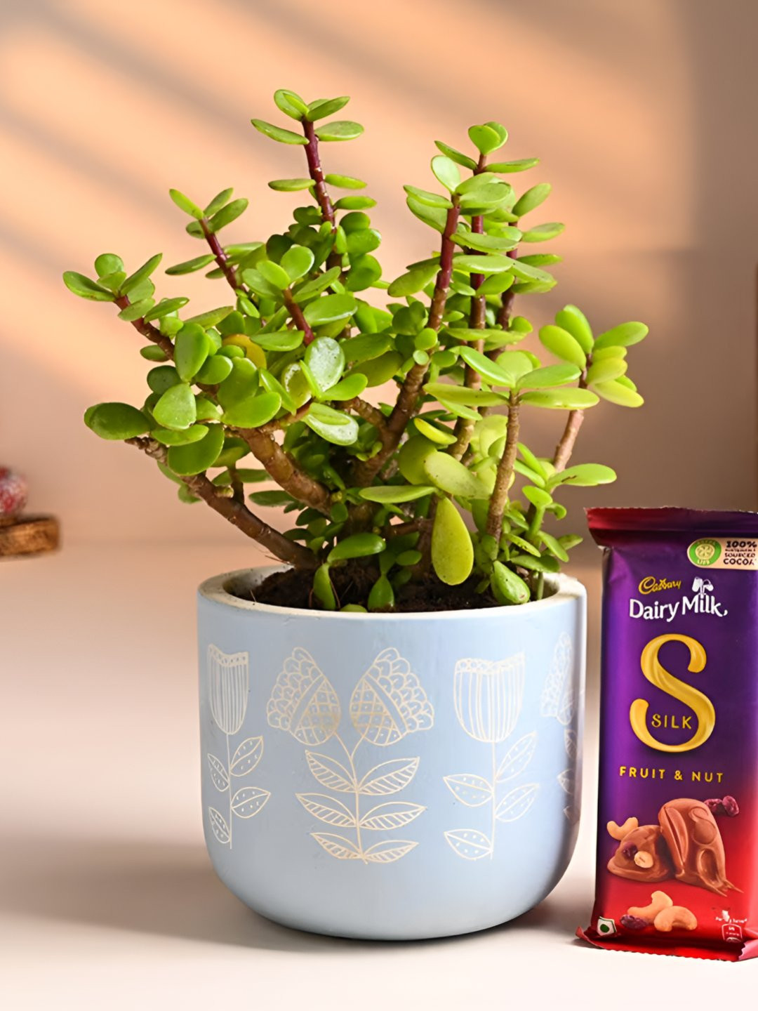 Floweraura Green Indoor Jade Plant With Pot 9.9 cm