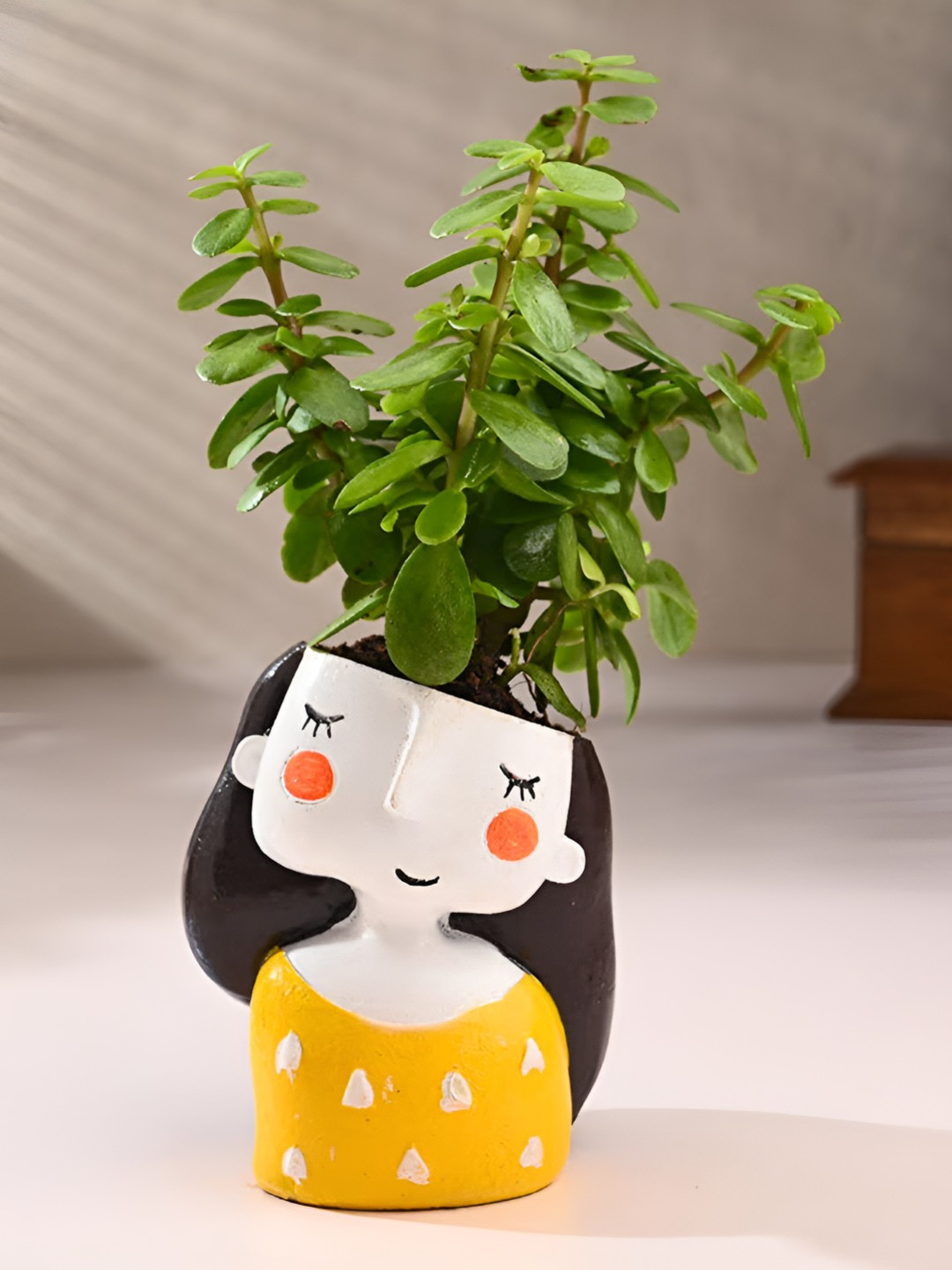 Floweraura Green Indoor Jade Plant In Cheerful Girl Pot Pot 9.9 cm