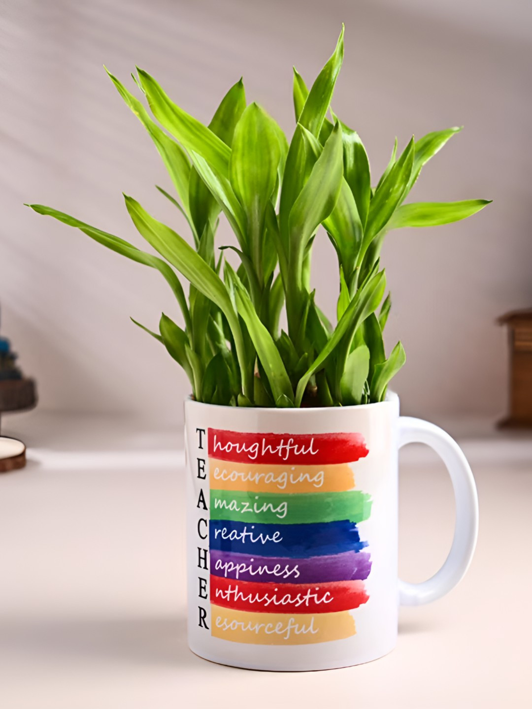 Floweraura Green Indoor Lucky Bamboo Plant With Pot 9.9 cm