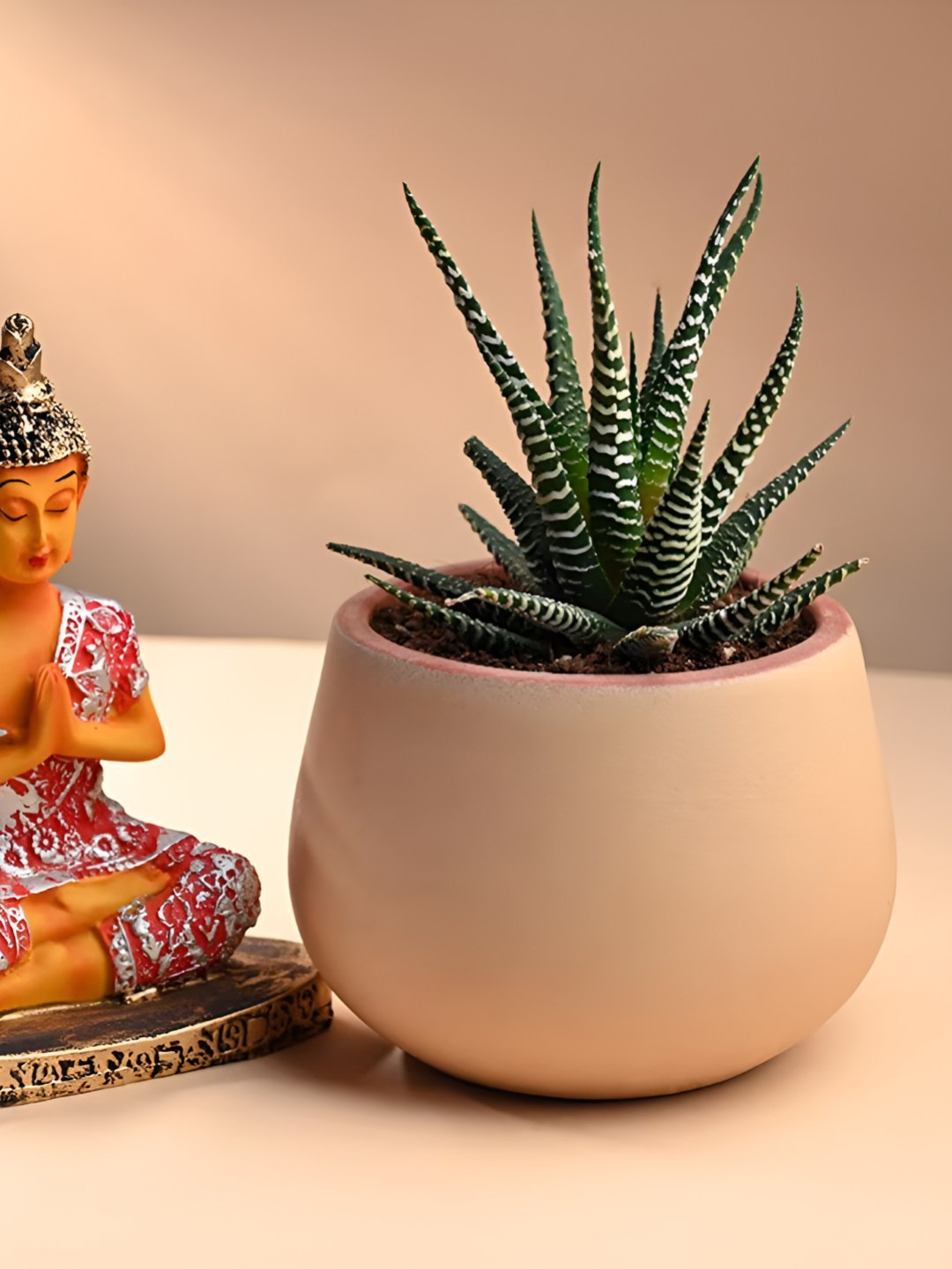 Floweraura Green Indoor Haworthia Plant With Pot 9.9 cm