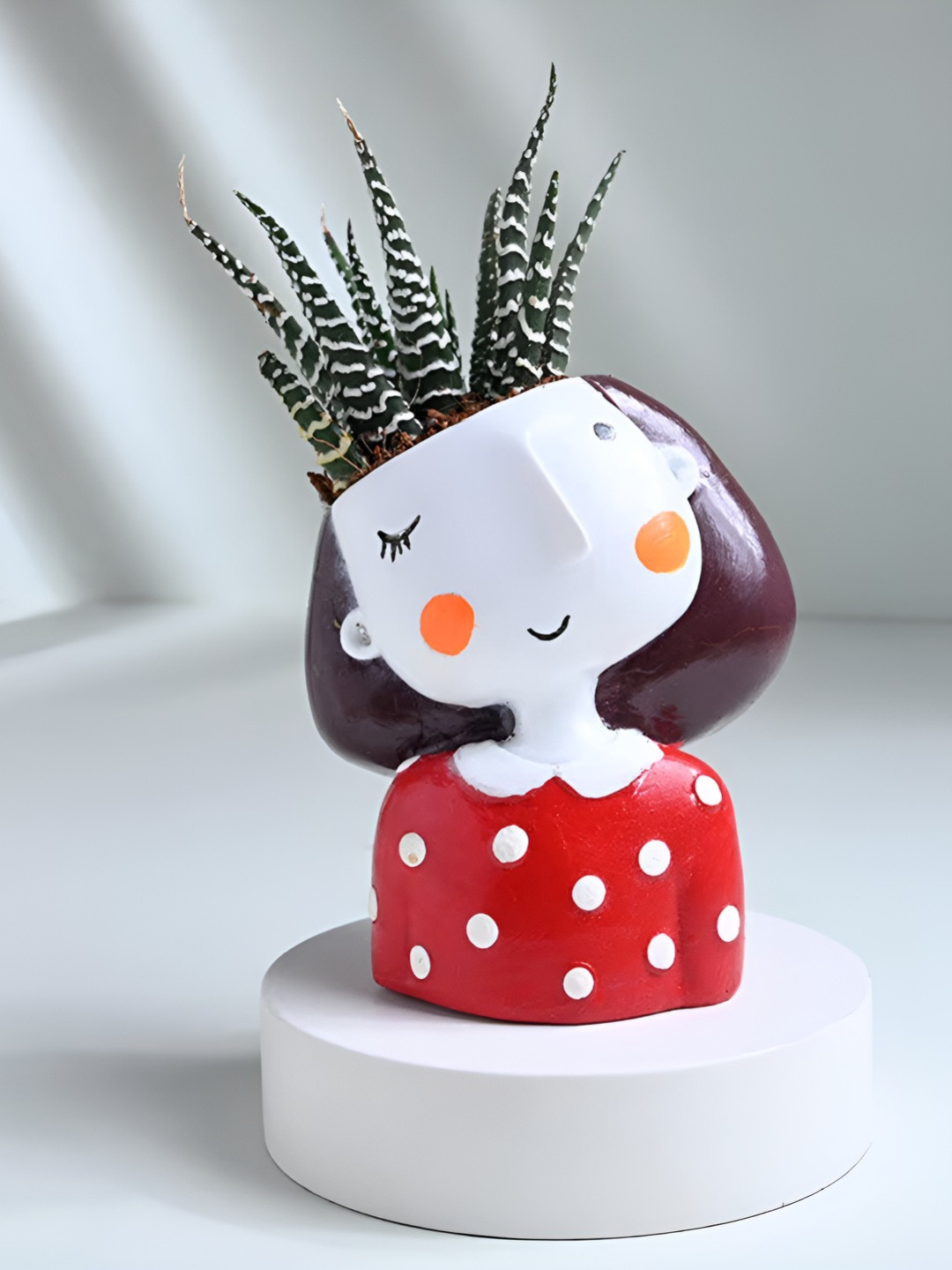 Floweraura Red and White Haworthia Plant In Quirky Girl Pot