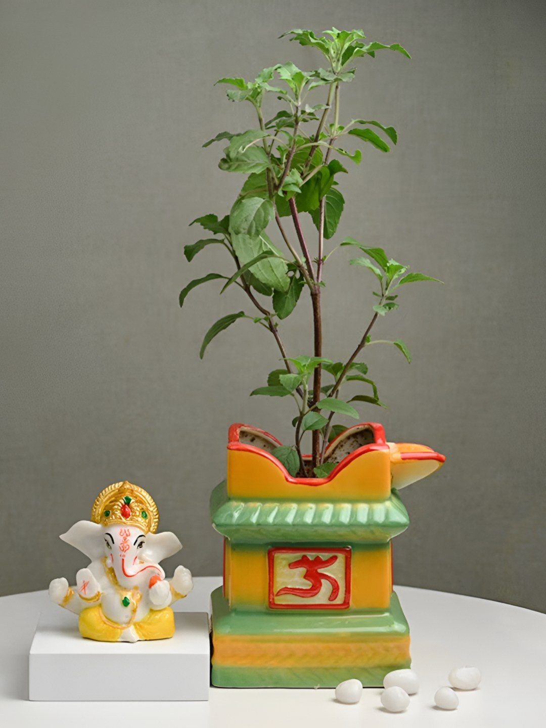 Floweraura Green Indoor Dharmic Holy Tulsi Plant With Pot 9.9 cm