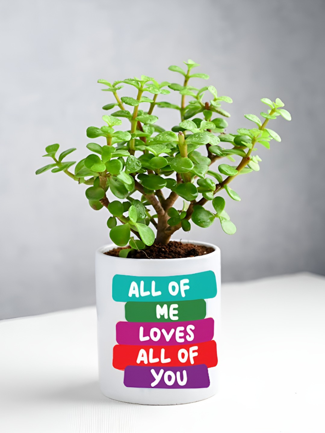 Floweraura Green Jade In Personalised Ceramic Mug