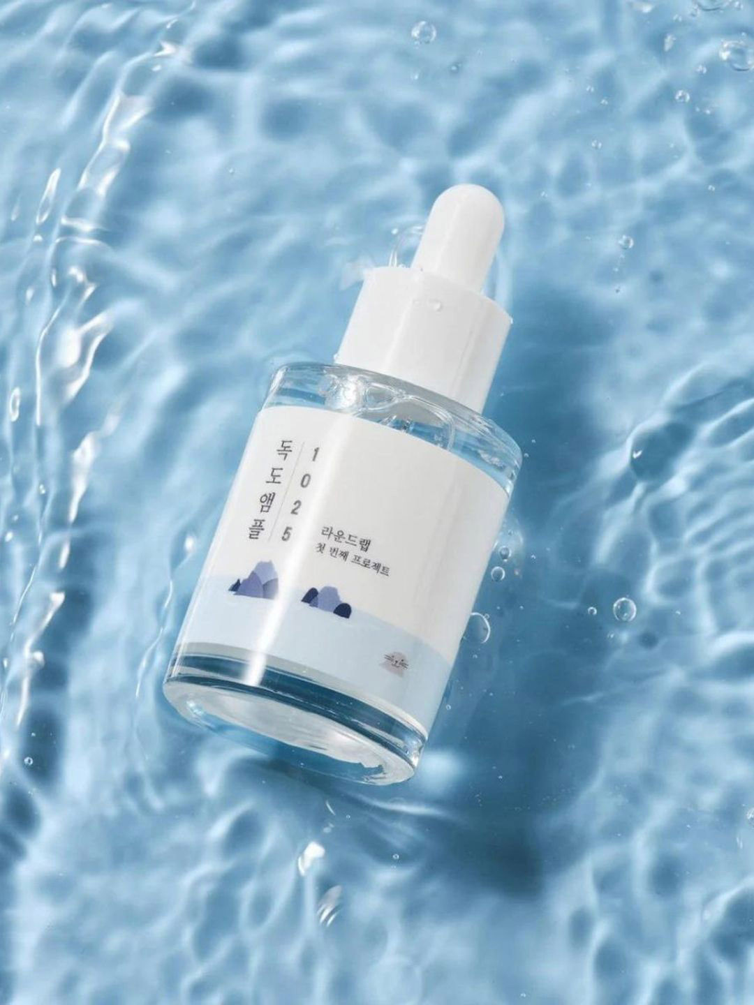 Round Lab 1025 Dokdo Ampoule - 45 g