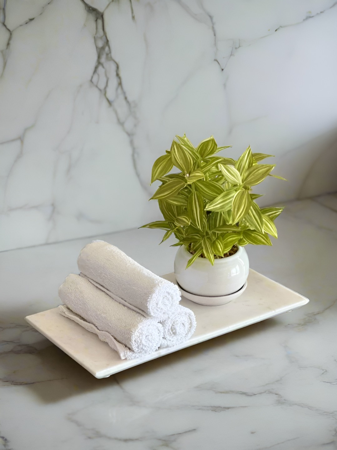 Mason Home White Marble Easy to Clean Serving Tray