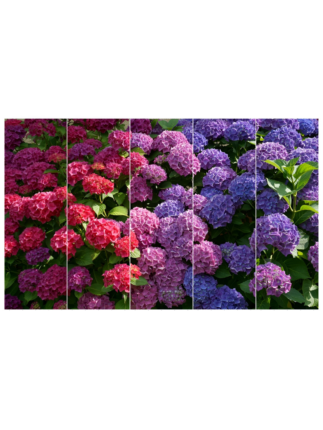 Inephos Pink And Purpal Floral and Botanical 5 Piece Printed Wood Vinyl Wall Art