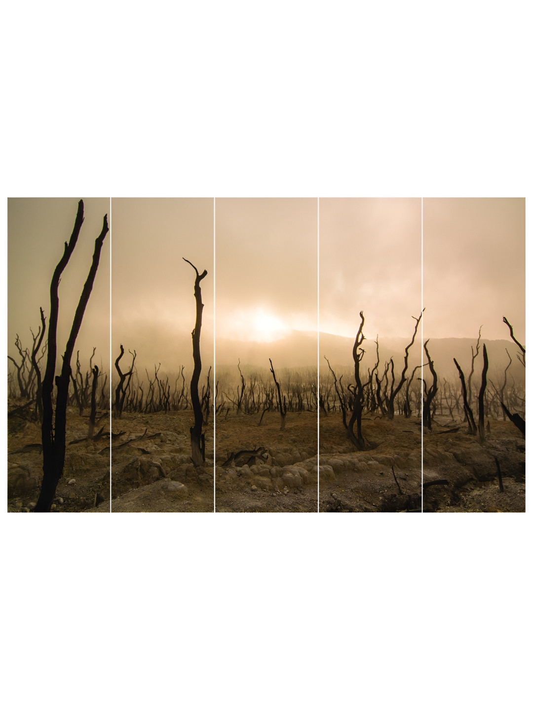 Inephos Abstract Canvas 5 Pcs Wall Rectangle Paintings Wall Art - 59.1x29.9In