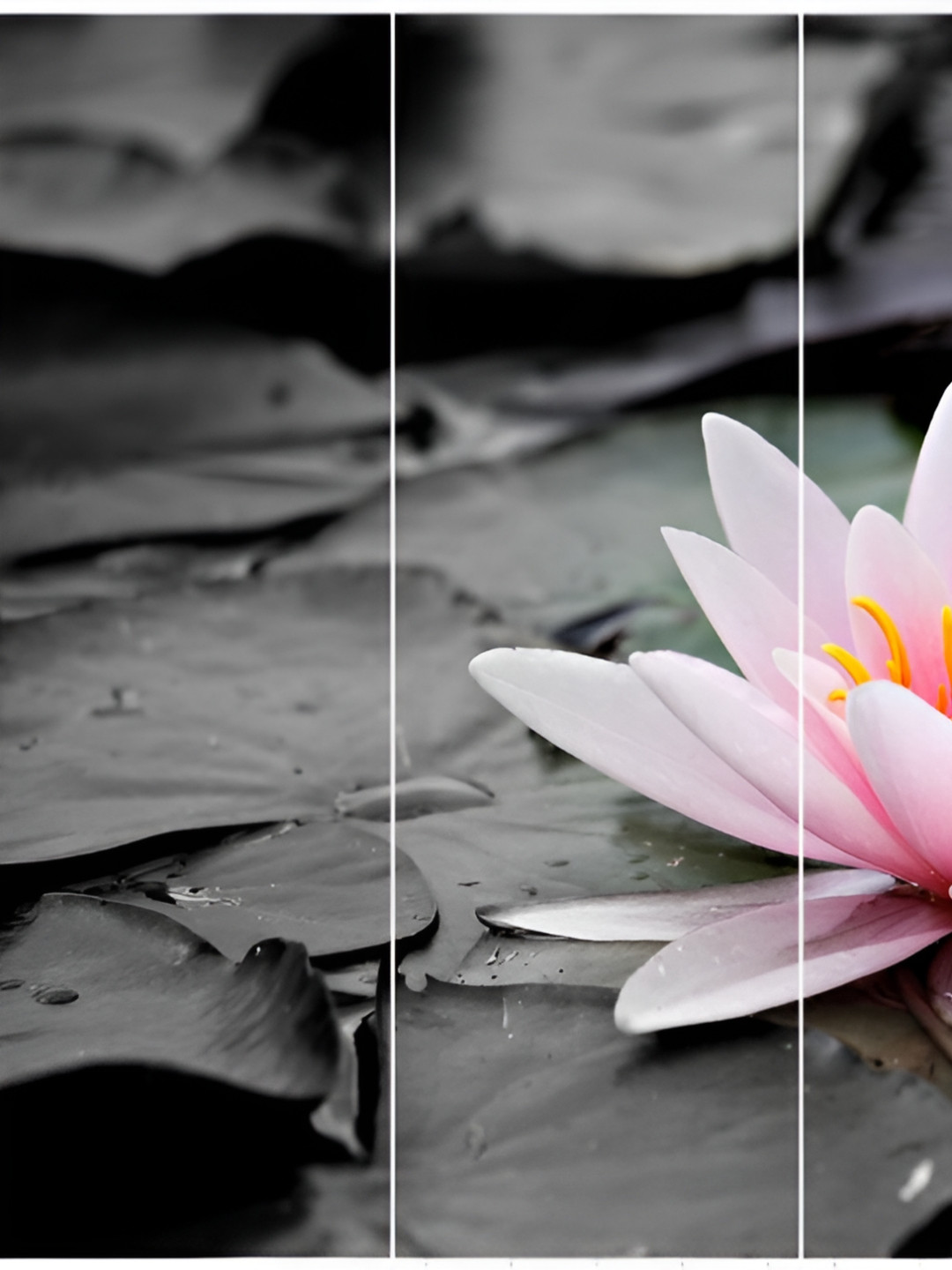 Inephos Green And Pink Floral and Botanical 4 Piece Printed Vinyl Wall Art