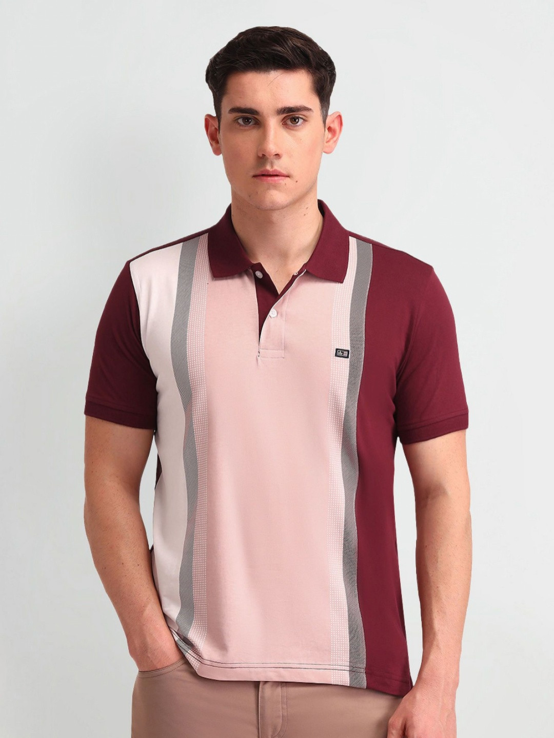 Arrow Men Vertical Striped Short Sleeves Polo Shirt