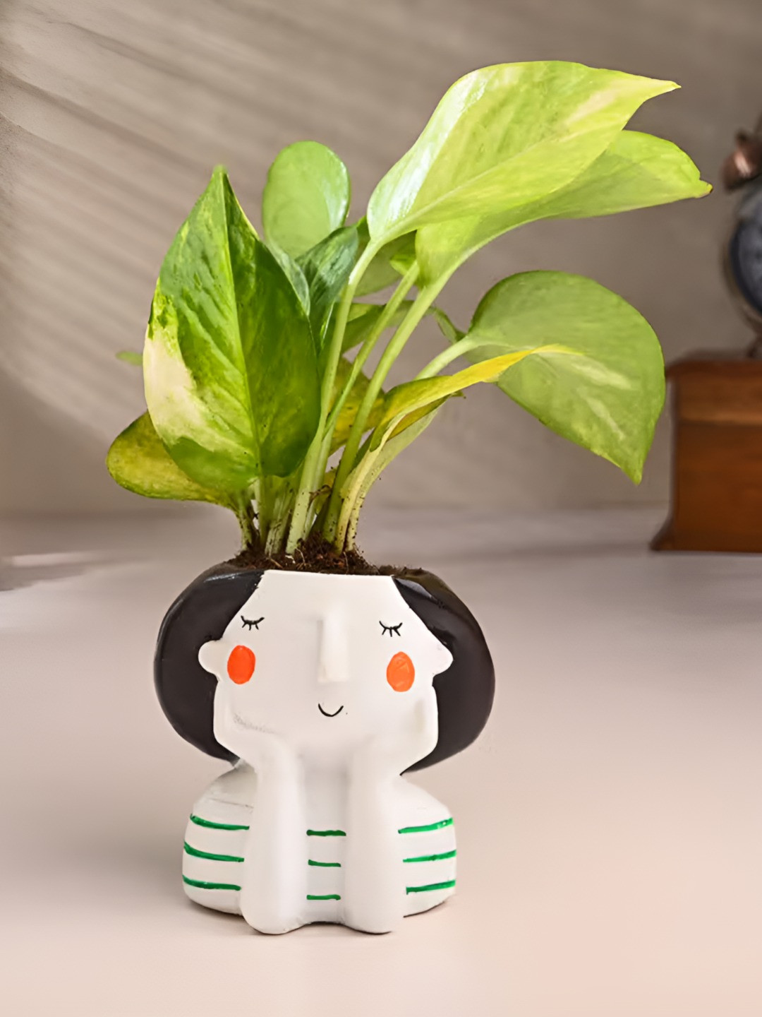 Floweraura White & Green Indoor Peace Lily Live Plant With Ceramic Pot