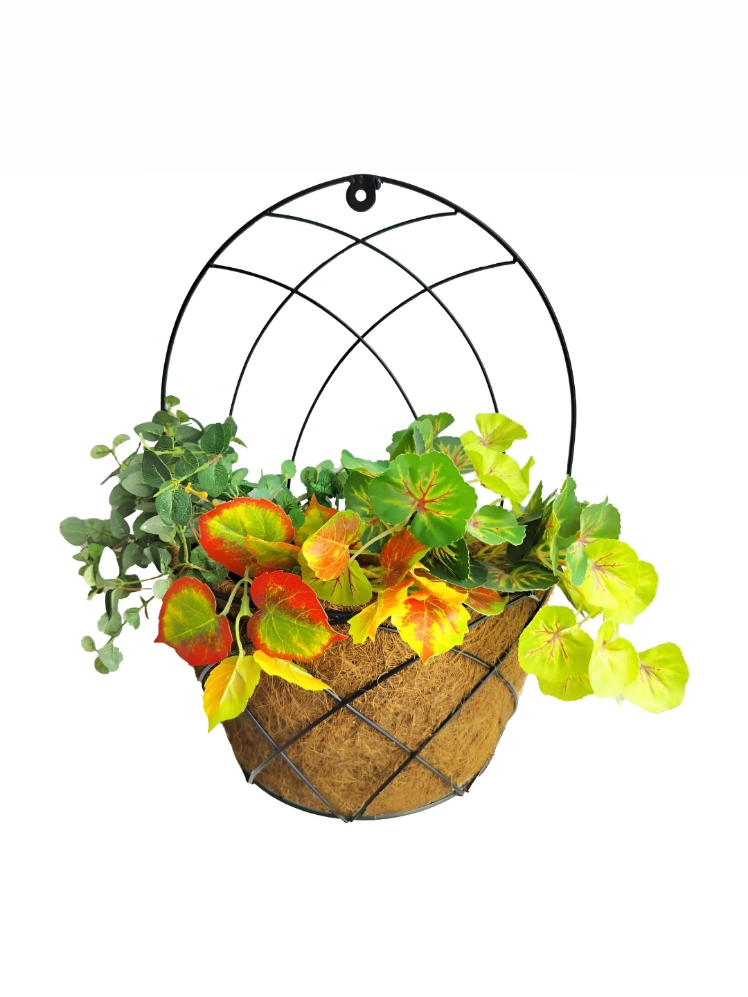 Garden King Set Of 6 Black 20 Inch High Back Coir Wall Mount Planters