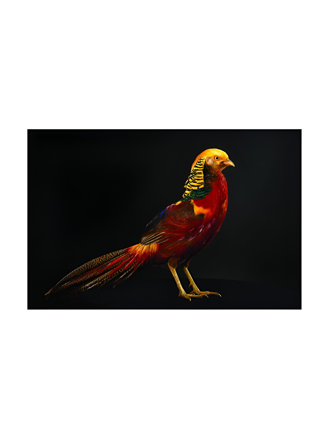 Inephos Black & Red Birds And Animals Printed Canvas Wall Art