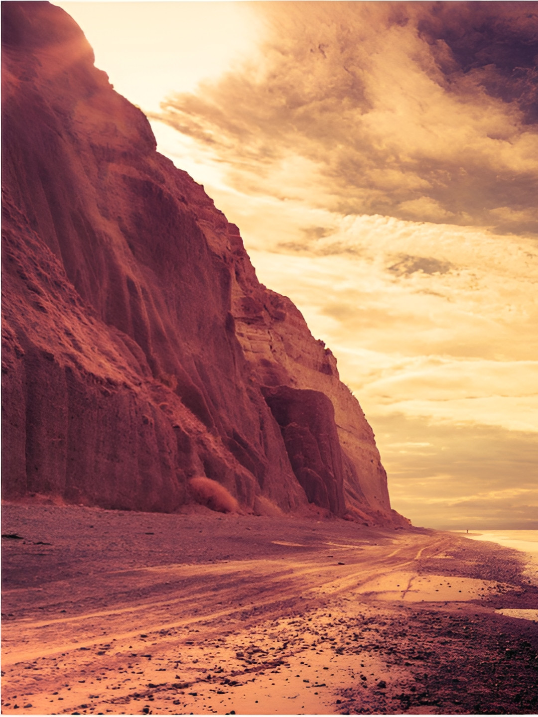 Inephos Brown And Rust Printed Wall Art