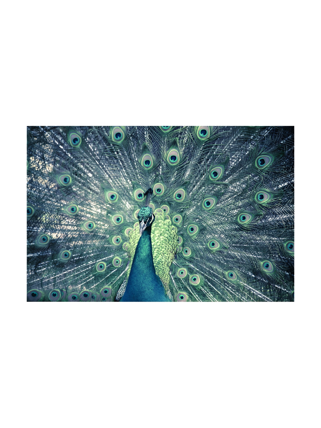 Inephos Canvas Wall Rectangle Paintings Wall Art -35.82 x 24.01 In