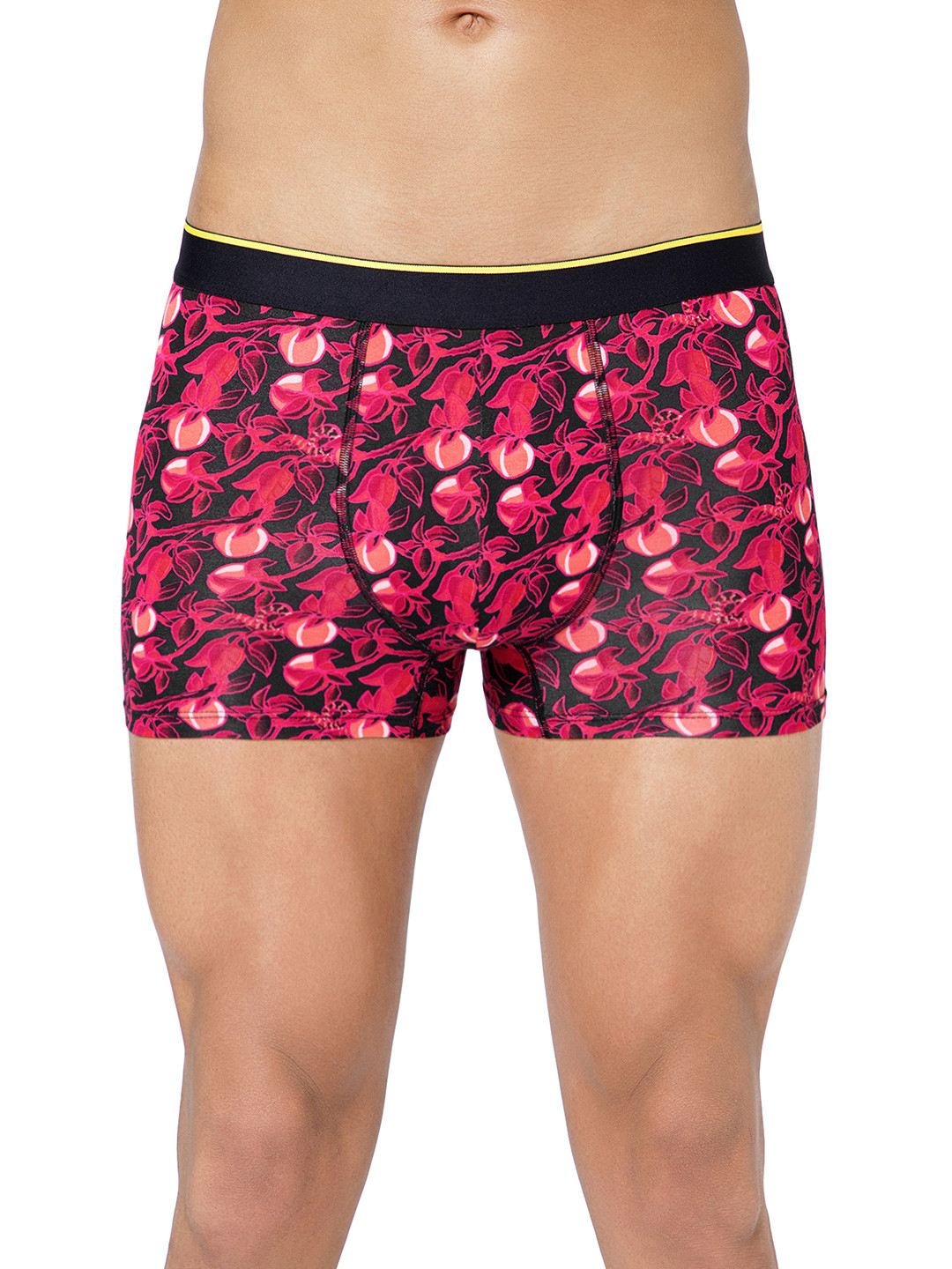 Bummer Men's Underwear Mircomodal Printed Trunk TRGT01S