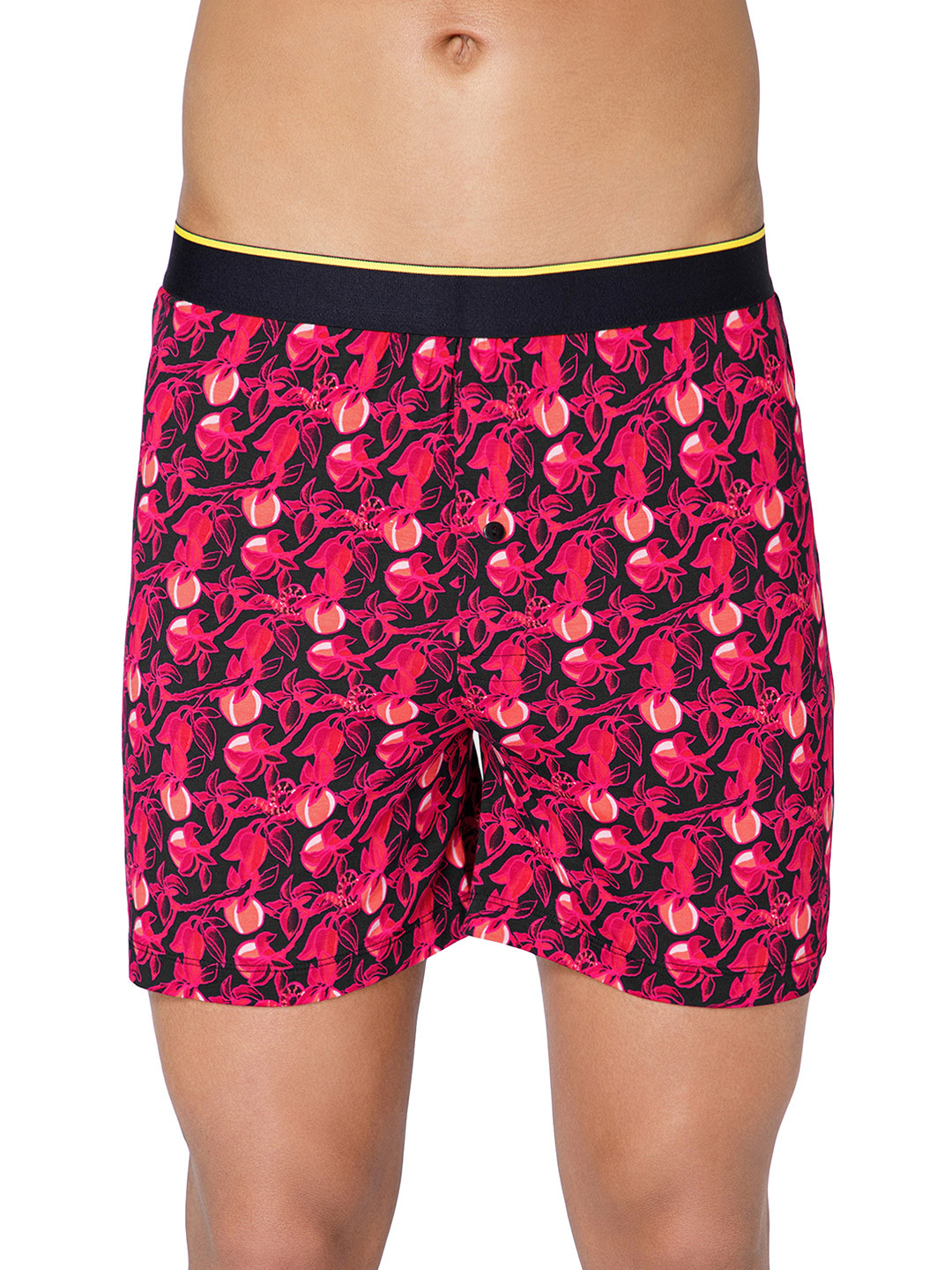 bummer Mens Underwear Micromodal Printed Boxer